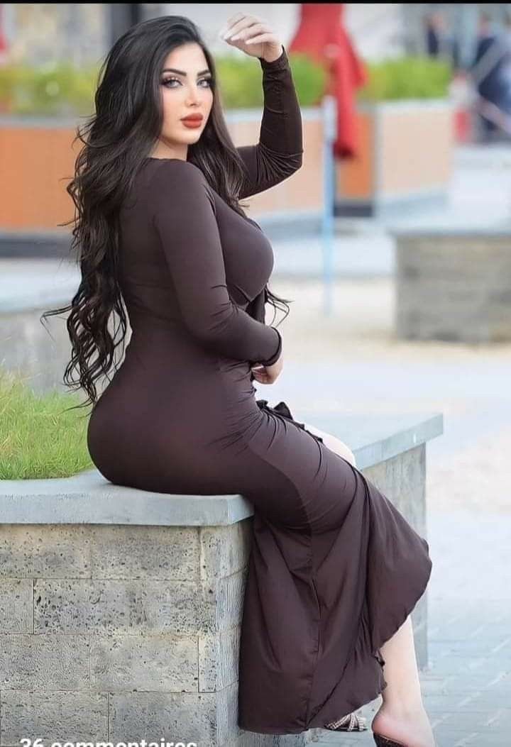 Arabian Companion Farida